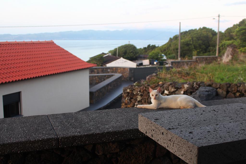 Vila Paim Santo Antonio  Bagian luar foto